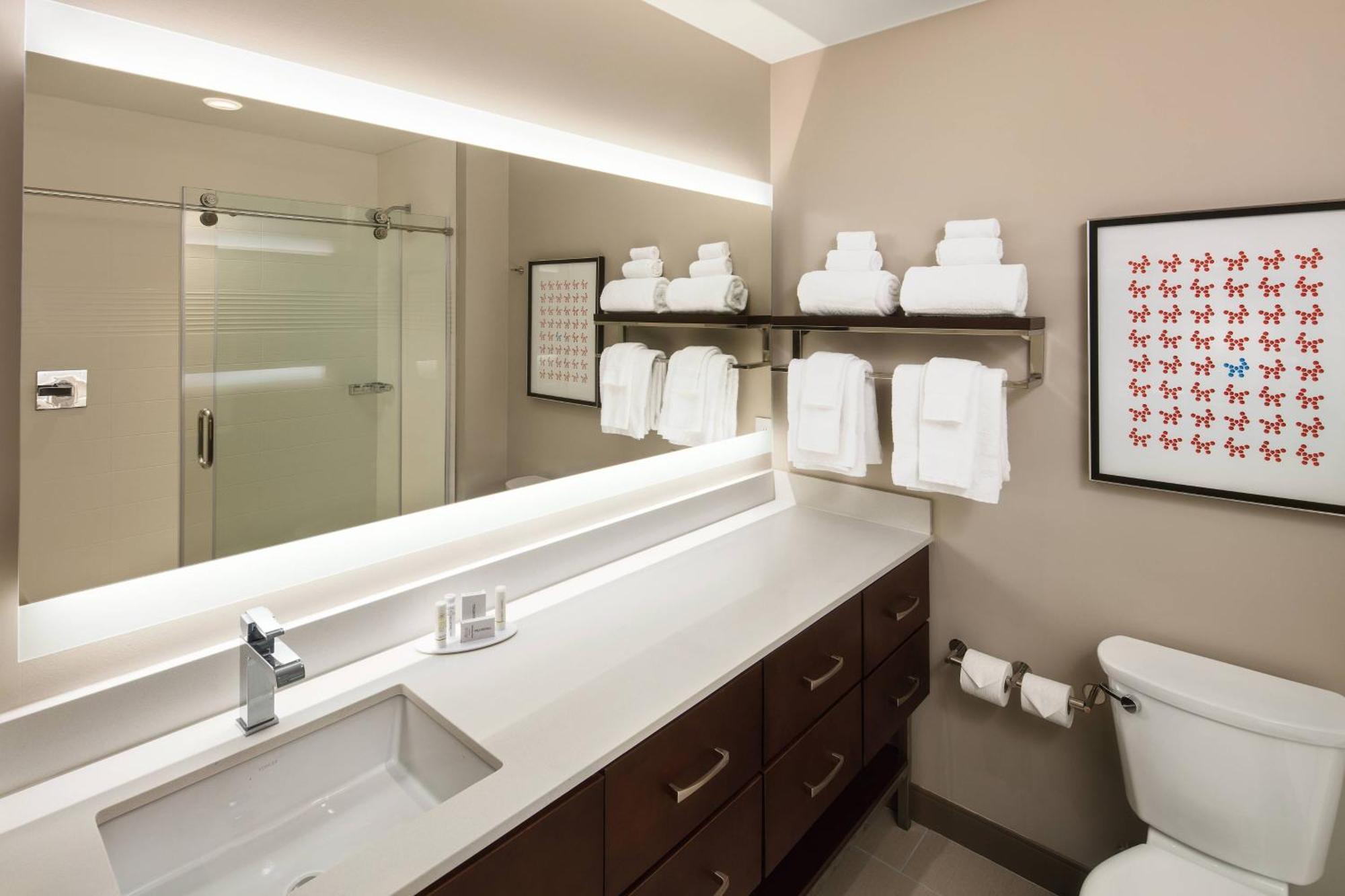 Towneplace Suites By Marriott New Orleans Downtown/Canal Street Kültér fotó